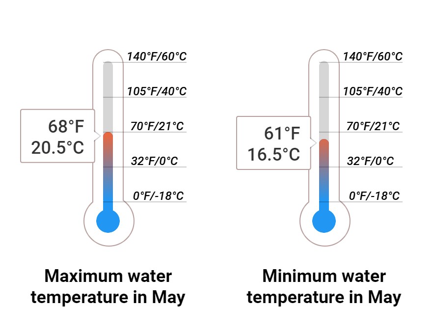 Average Sea temperature